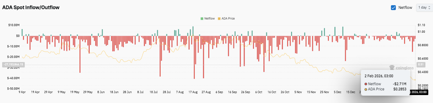 贾玲谈刘德,华邀演夫人,最终决定权,ebpay承兑,ebpay钱包,ebpay官网