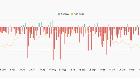 贾玲谈刘德华邀演夫人：最终决定权在你